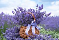 Organic Lavender Dried Flowers from Greece, 30g - by Geusi Vounou