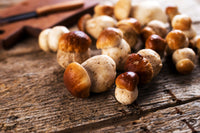 Porcini Mushrooms - dried, 25g (from Geusi Vounou)